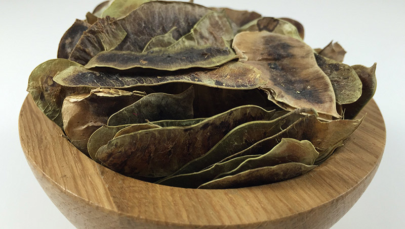 Senna Pods